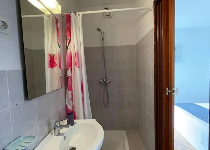 Dulcic Apartament *