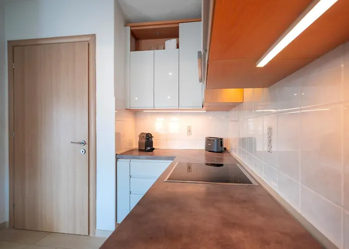 Dulcic Apartament *